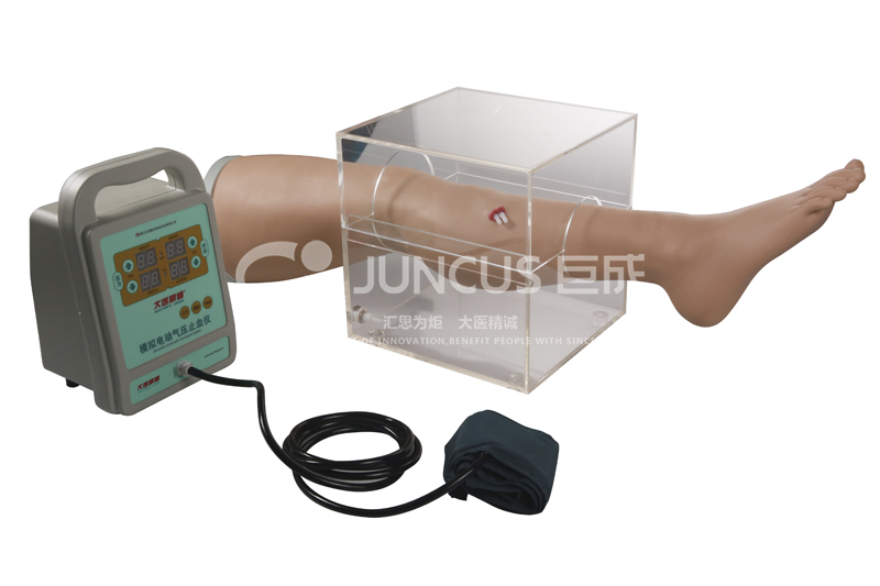电动气压止血训练下肢模型