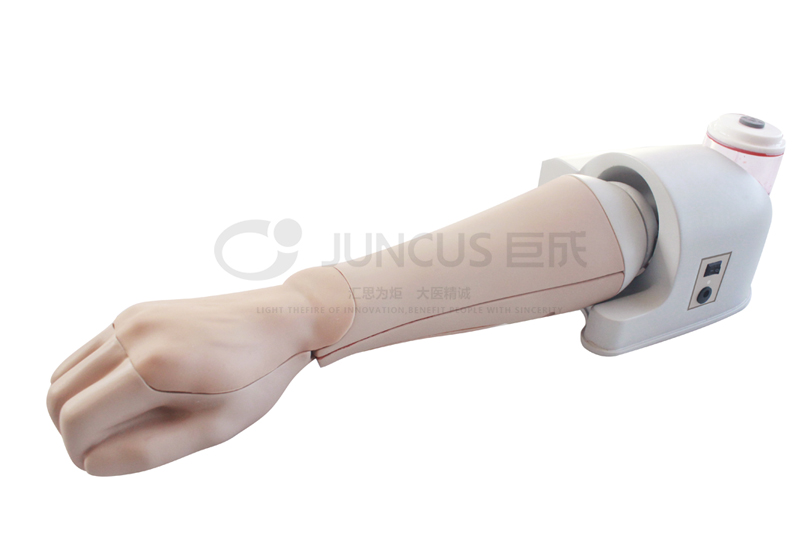 手背静脉输液训练模型