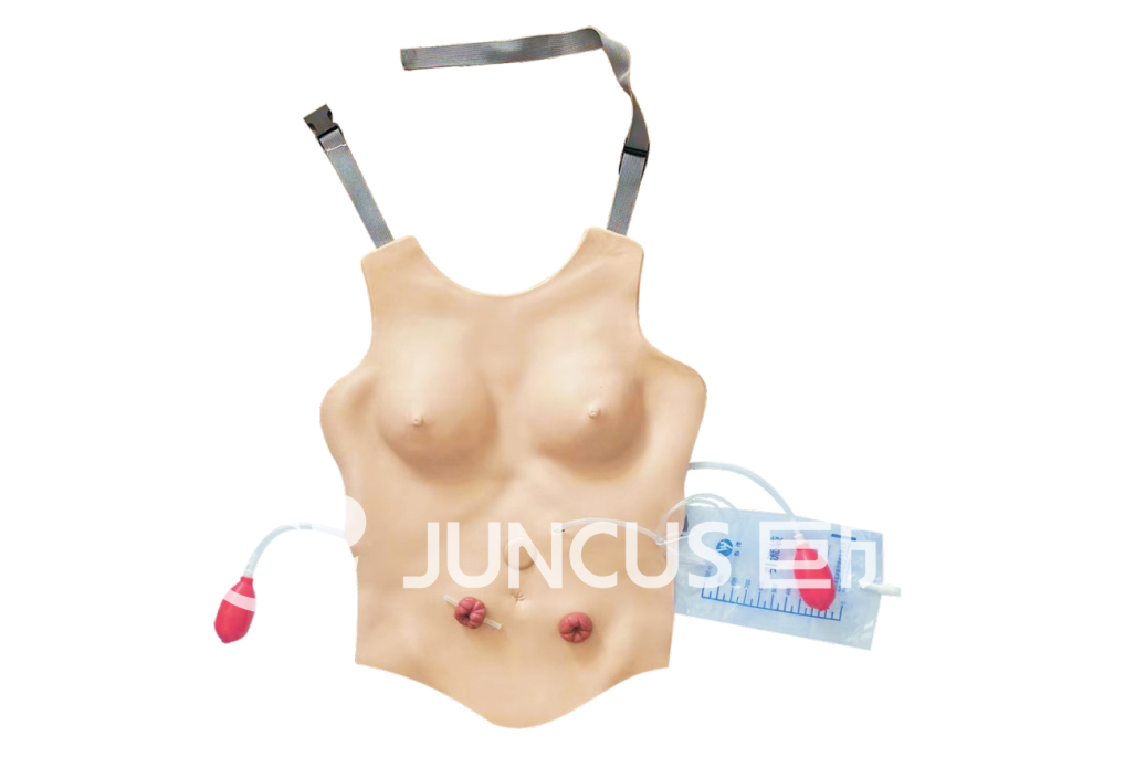 穿戴式女性置管引流和造瘘口护理模型