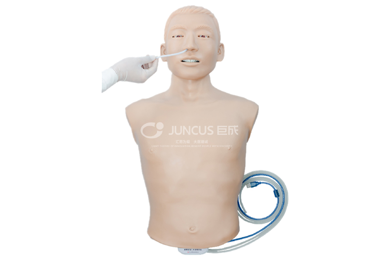 鼻胃管插管训练模型