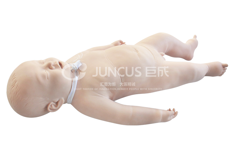 婴儿气管切开护理模型