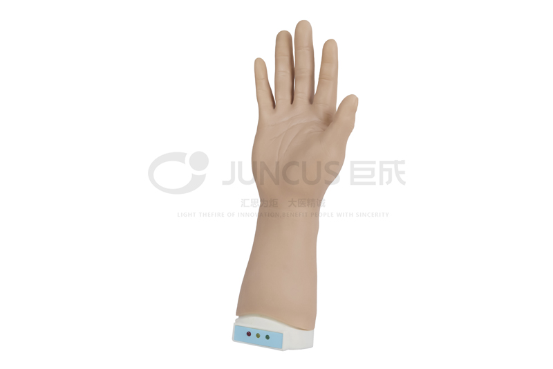 腕掌关节封闭术模拟训练系统