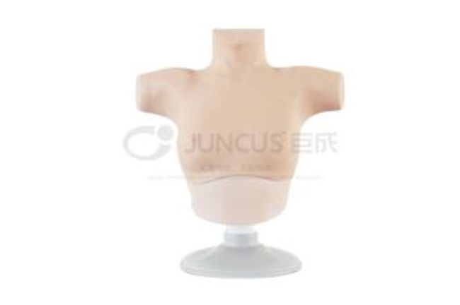 乳房检查模型